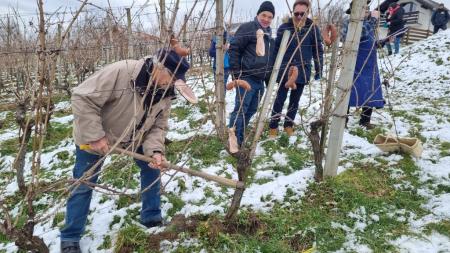 Vincekovo brez meja 4